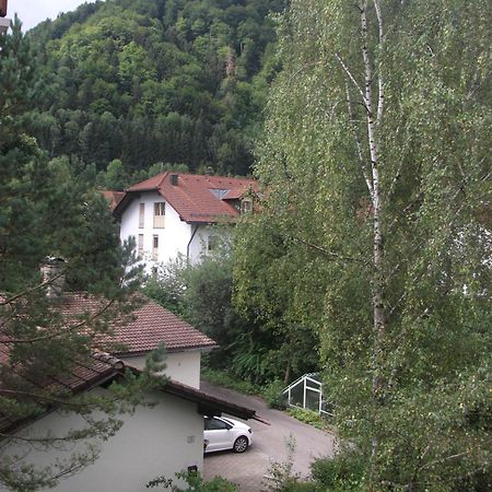 Appartamento Appartemant Steineberg Immenstadt im Allgäu Esterno foto